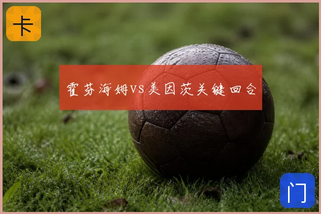霍芬海姆vs美因茨关键回合
